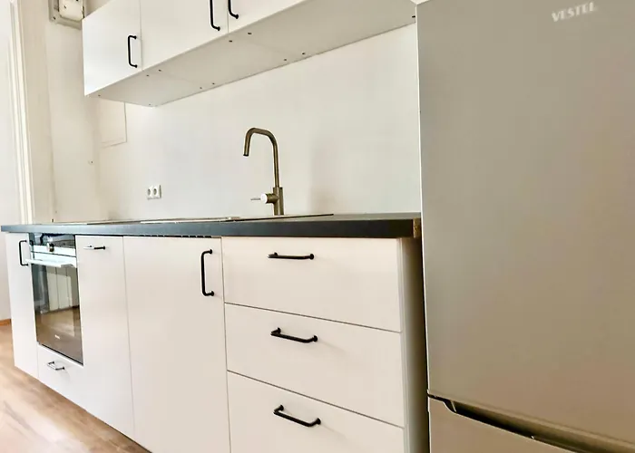 4-room Stylish Spacious Daire Viyana